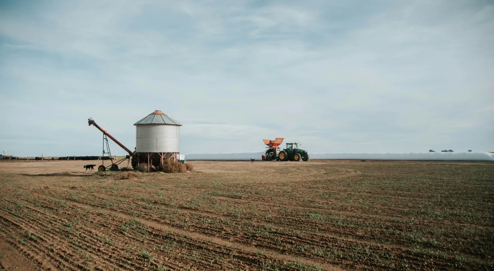 Maíz y sorgo: el congreso que debate cómo agregar valor en origen