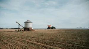 Maíz y sorgo: el congreso que debate cómo agregar valor en origen